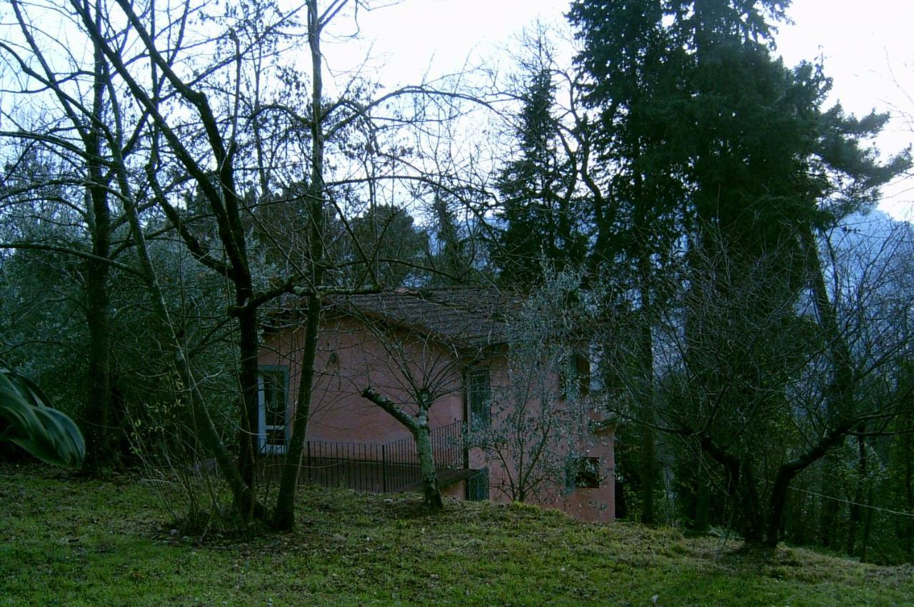 Casa Oliveto Villa Camaiore Buitenkant foto