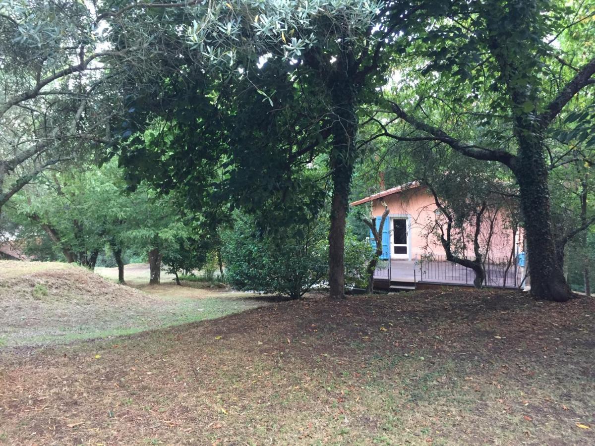 Casa Oliveto Villa Camaiore Buitenkant foto